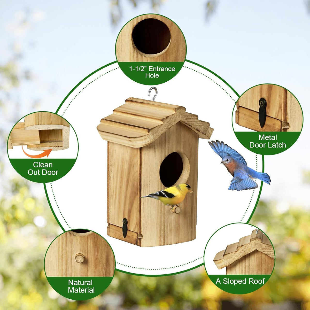 Mini hanging wooden bird house with oval entrance and metal door latch shown