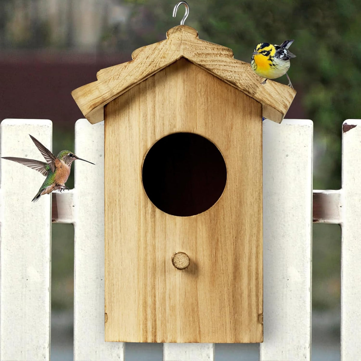 Mini wooden hanging bird house with oval entrance on fence, birds nearby