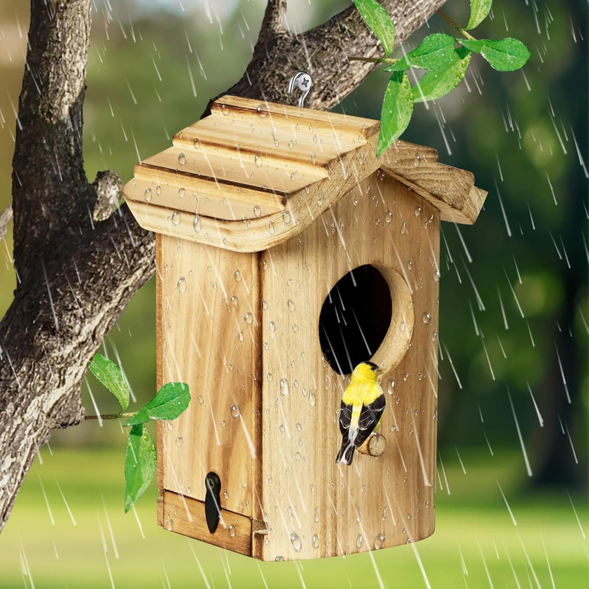 Mini wooden hanging bird house with oval entrance in rain, birds perched