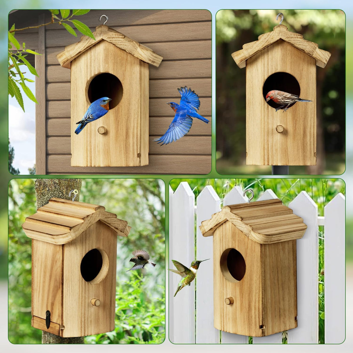 Mini wooden bird house with oval entrance opening and metal door latch