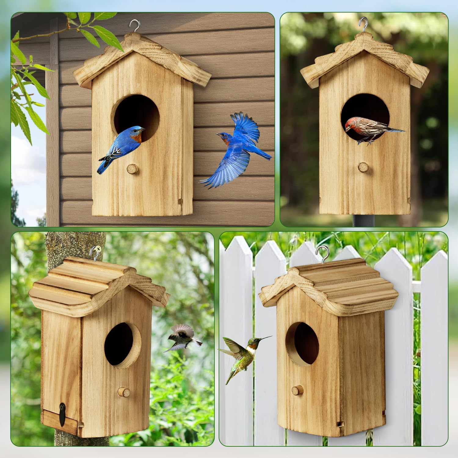 Mini wooden bird house with oval entrance opening and metal door latch