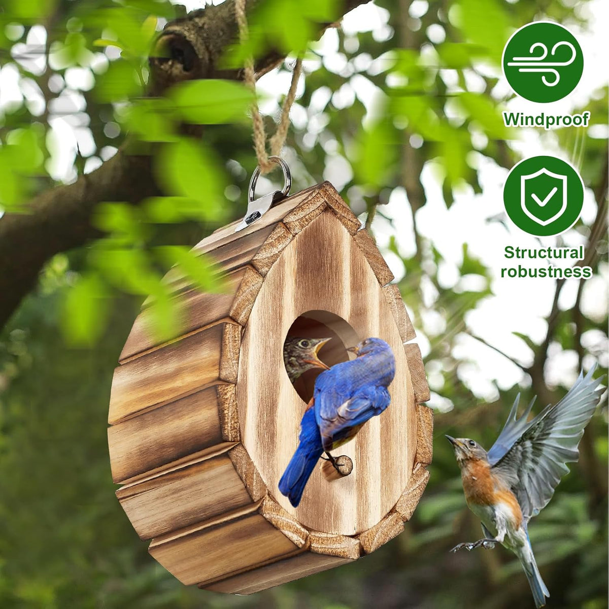 Wooden hummingbird birdhouse with circular entrance and blue bird perched on front