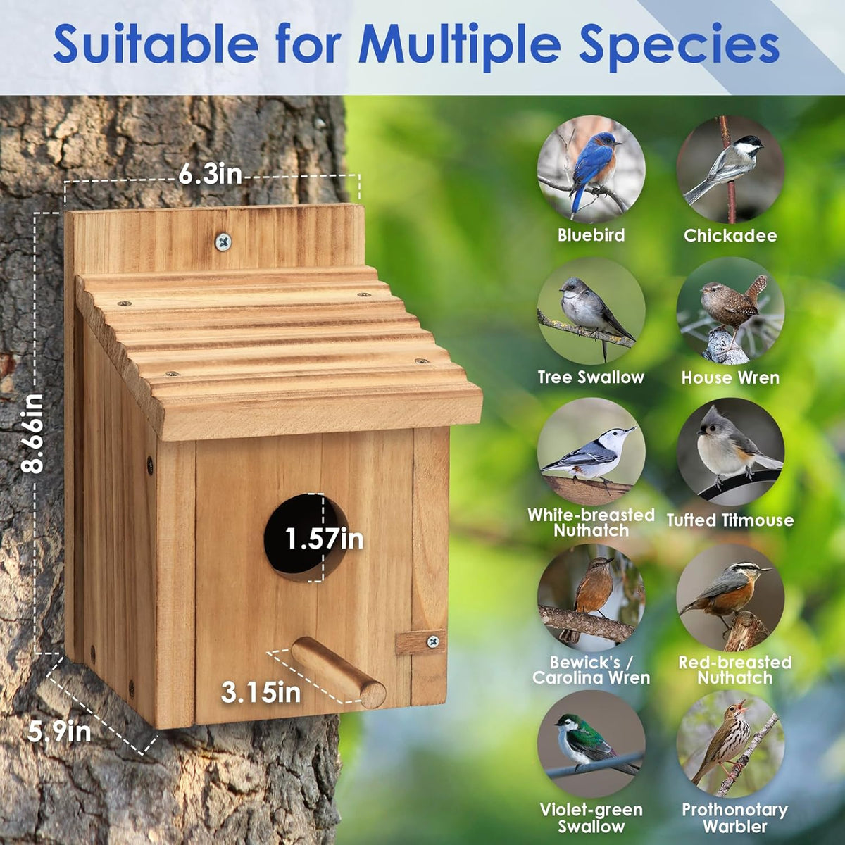 Wood birdhouse on tree bark with round entrance hole and side perch